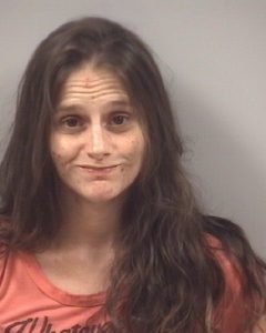 KASEY MARIE PARKER | 2016-08-15 Johnston County, North Carolina Booking