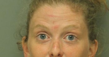 NEDLEY,KRISTINA LYNNE | 2016-07-20 18:15:00 Wake County, North Carolina Booking