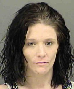 DRYMAN, AMANDA LEE | 2016-09-12 06:58:00 Mecklenburg County, North Carolina Booking