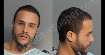 MOJICA, CARLOS | 2016-11-02 20:28:00 Miami-Dade County, Florida Booking