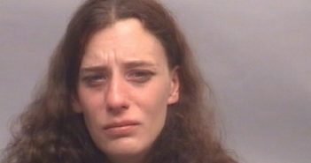 DINSMORE, BRIDGET MARIE | 2016-11-04 Forsyth County, North Carolina Booking