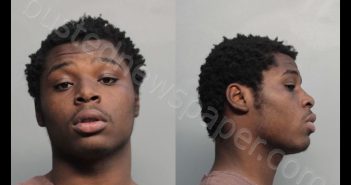 HIGGS, ALVIN | 2016-11-10 16:01:00 Miami-Dade County, Florida Booking