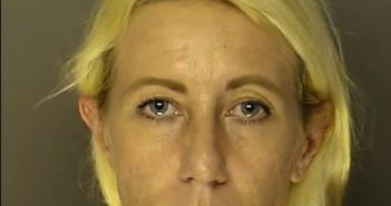 <B>SELLARS</B>, <B>KARI</B> <B>LISA</B> #, Horry County, South Carolina - 2016-10-29 18:19:00