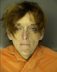 EVANS, TIFFANY DAWN | 2016-11-04 07:33:00 Horry County, South Carolina Booking