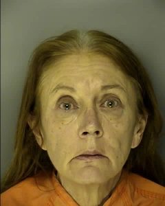 CALLBECK, BRENDA MARIE | 2016-11-04 00:55:00 Horry County, South Carolina Booking