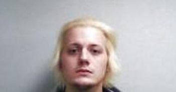 MICAH DINGUS | 2016-11-12 01:07:00 Page County, Virginia Booking