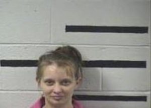 HALEY WILLIAMS | 2016-11-15 11:00:00 Transylvania County, North Carolina Booking