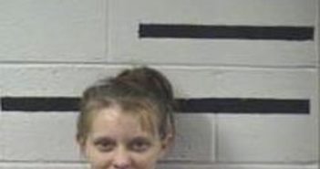 HALEY WILLIAMS | 2016-11-15 11:00:00 Transylvania County, North Carolina Booking