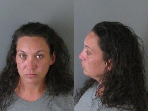 STOWE, AMY WALTERS | 2016-11-25 13:32:00 Gaston County, North Carolina Booking