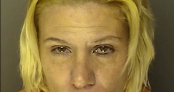 <B>LEE</B>, <B>ANGELA</B> <B>MARIE</B> #, Horry County, South Carolina - 2016-11-26 04:40:00