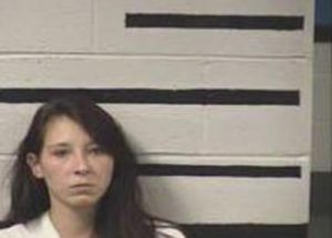 BRITTANY FISHER | 2016-11-27 15:45:00 Transylvania County, North Carolina Booking