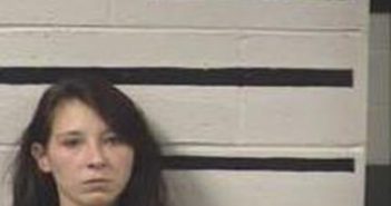 BRITTANY FISHER | 2016-11-27 15:45:00 Transylvania County, North Carolina Booking