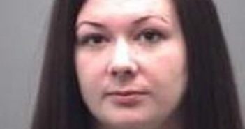 AMANDA SANDLER | 2016-11-28 Alamance County, North Carolina Booking