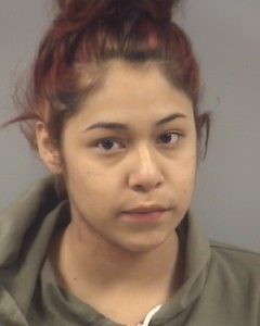 EMELY ROSARIO DIAZ | 2016-12-06 Johnston County, North Carolina Booking