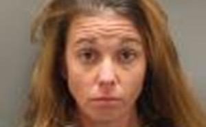 ROPER, WHITNEY LEIGH | 2017-01-04 Oconee County, South Carolina Booking