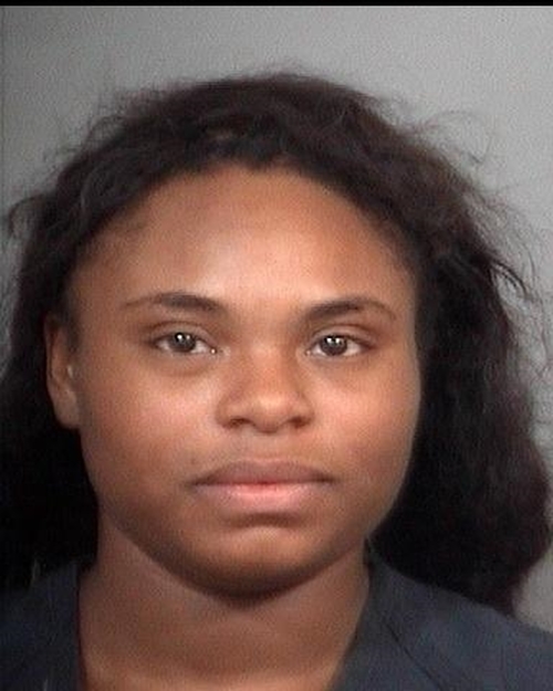 ASHLEY SHANETIA YOUNG #, St. Joseph County, Indiana - 2017-01-15 10:53:00