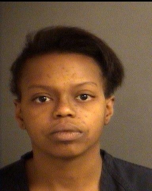 ASHLEY SADE MCGEE #, St. Joseph County, Indiana - 2017-01-18 09:40:00