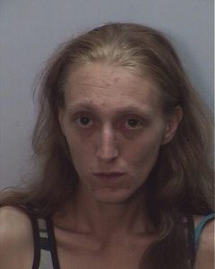 ADKINS, LISA MARIE | 2017-01-25 11:18:00 Guilford County, North Carolina Booking