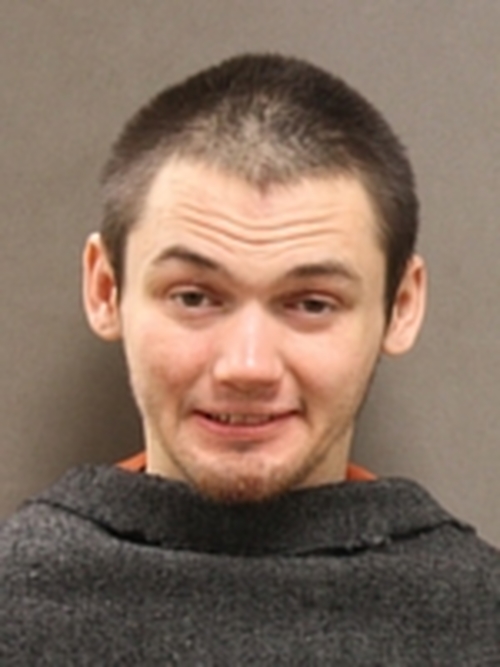 NICHOLAS SULLY BEAUBIEN #, Johnson County, Missouri - 2017-01-31 22:15:00