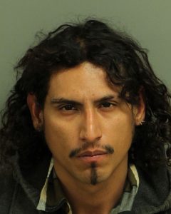 RAMIREZ,SERGIO MARTIN | 2017-01-31 12:15:00 Wake County, North Carolina Booking
