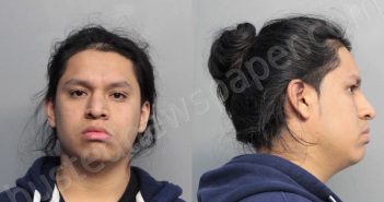 DIAZ, RAUL | 2017-01-31 10:52:00 Miami-Dade County, Florida Booking