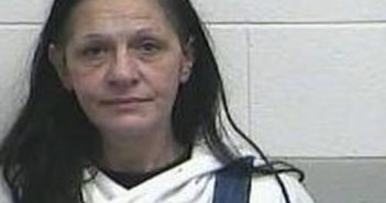 ELIZABETH WISEMAN | 2017-02-01 18:08:00 Casey County, Kentucky Booking
