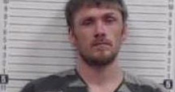 MICHEAL COX | 2017-02-01 12:40:00 Greene County, Arkansas Booking