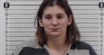 JESSICA OWENS | 2017-02-02 21:04:00 Greene County, Arkansas Booking