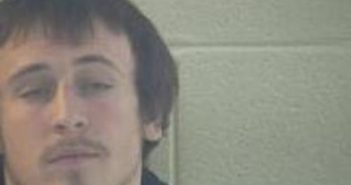 JORDAN JACKSON | 2017-02-02 11:05:00 Pulaski County, Kentucky Booking