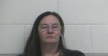 LESLI PENROD | 2017-02-02 02:03:00 Casey County, Kentucky Booking