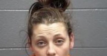 ASHLEY PEYTON | 2017-02-03 06:31:00 Boyle County, Kentucky Booking