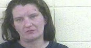 NIKKI CAMPLIN | 2017-02-03 00:40:00 Dubois County, Indiana Booking