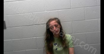 BOSLEY, SHELLY ANN | 2017-02-03 18:45:00 Preston County, West Virginia Booking