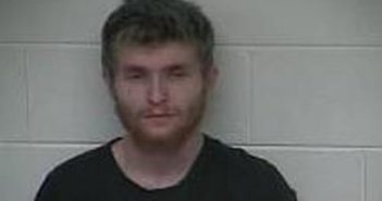 GARY WEBSTER | 2017-02-04 16:48:00 Carroll County, Kentucky Booking