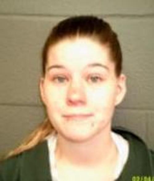 SAMANTHA WREN #, Delaware County, New York - 2017-02-04 12:00:00