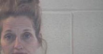 MELESSA SELLERS | 2017-02-05 12:08:00 Pulaski County, Kentucky Booking