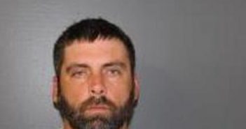 TERRY PELHAM | 2017-02-06 22:50:00 Hardee County, Florida Booking