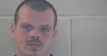 ROGER HARRIS | 2017-02-07 13:48:00 Pulaski County, Kentucky Booking