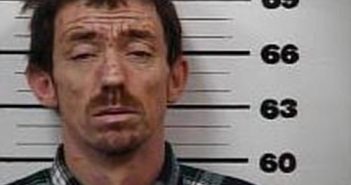 PHILLIP BRAFORD | 2017-02-08 18:10:00 Hawkins County, Tennessee Booking