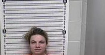 GABRIELLE SHANKS | 2017-02-09 12:18:00 Muhlenberg County, Kentucky Booking