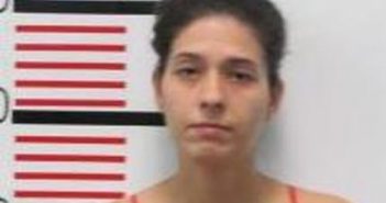 CHASITY GORDON | 2017-02-09 15:59:00 Scott County, Tennessee Booking