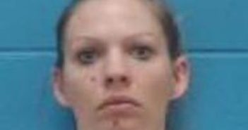 ELIZABETH M SCHMIDT | 2017-02-09 15:25:00 Kemper County, Mississippi Booking