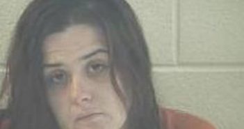 ROSALEE DAVIS | 2017-02-09 13:49:00 Pulaski County, Kentucky Booking