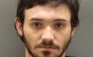 SANFORD, COAX ARNOLD V | 2017-02-11 Oconee County, South Carolina Booking