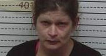 AMY GANT | 2017-02-12 19:26:00 Mcminn County, Tennessee Booking