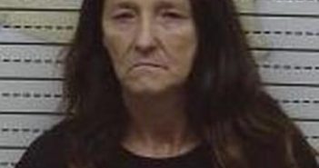 ALDEANA STAFFORD | 2017-02-12 12:00:00 Mcminn County, Tennessee Booking