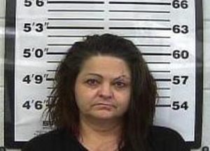 KIMBERLY BOYKIN | 2017-02-12 10:12:00 Gibson County, Tennessee Booking
