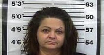 KIMBERLY BOYKIN | 2017-02-12 10:12:00 Gibson County, Tennessee Booking