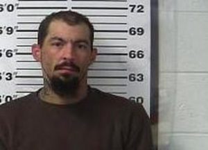 ADAM WALKER | 2017-02-13 15:57:00 Gibson County, Tennessee Booking