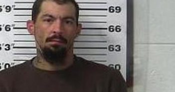 ADAM WALKER | 2017-02-13 15:57:00 Gibson County, Tennessee Booking